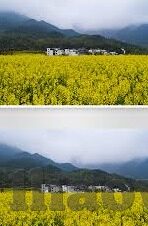 18日足球比分-18日绿茵烽火，全球赛事比分全景解析