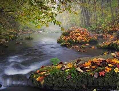 excel足球比分-Excel足球比分，从数据整理到深度分析的全方位指南
