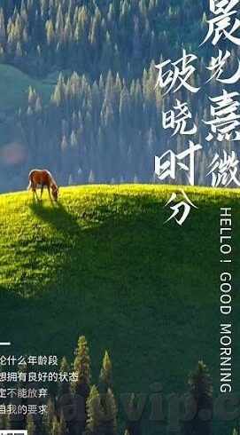 即时足球比分 竞彩-即时足球比分与竞彩，科技赋能下的体育娱乐新体验