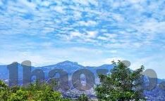 雷速足球比分直播比分-雷速足球比分直播，绿茵场上的实时脉搏